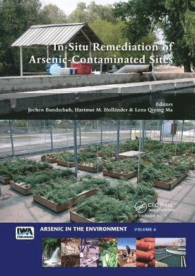 In-Situ Remediation of Arsenic-Contaminated Sites 1