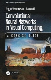 bokomslag Convolutional Neural Networks in Visual Computing