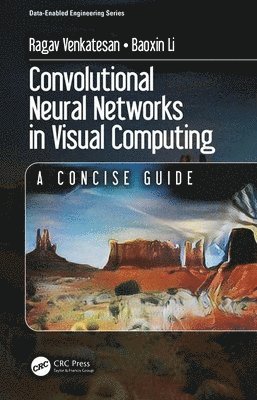 Convolutional Neural Networks in Visual Computing 1