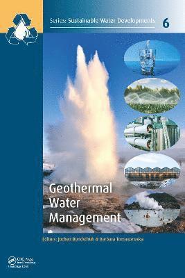 bokomslag Geothermal Water Management