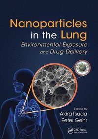 bokomslag Nanoparticles in the Lung