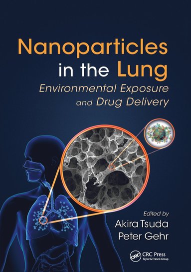 bokomslag Nanoparticles in the Lung