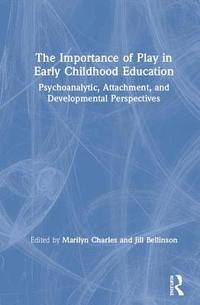 bokomslag The Importance of Play in Early Childhood Education