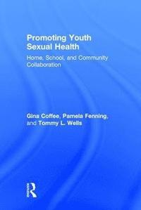 bokomslag Promoting Youth Sexual Health