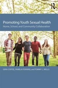 bokomslag Promoting Youth Sexual Health