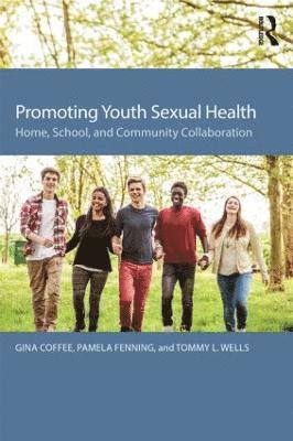 bokomslag Promoting Youth Sexual Health