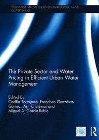 bokomslag The Private Sector and Water Pricing in Efficient Urban Water Management