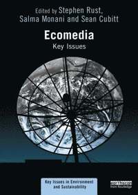 bokomslag Ecomedia: Key Issues