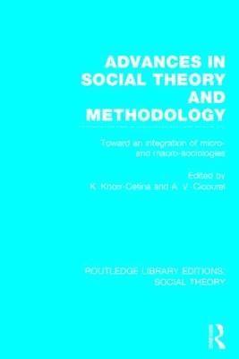 bokomslag Advances in Social Theory and Methodology