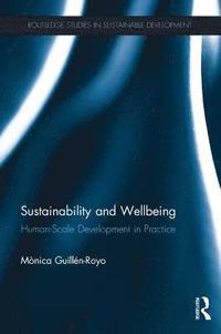 bokomslag Sustainability and Wellbeing