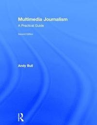 bokomslag Multimedia Journalism