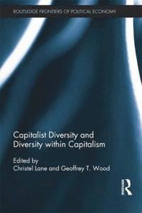 bokomslag Capitalist Diversity and Diversity within Capitalism