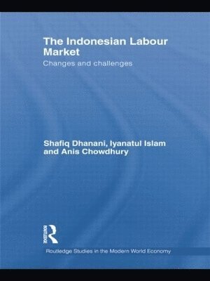 bokomslag The Indonesian Labour Market