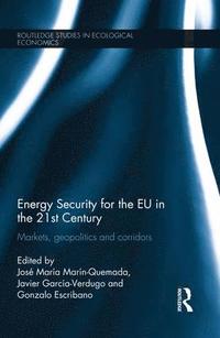 bokomslag Energy Security for the EU in the 21st Century