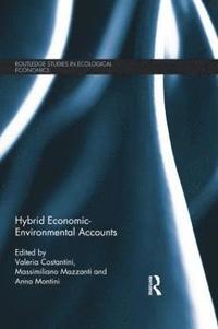bokomslag Hybrid Economic-Environmental Accounts