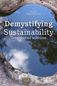 bokomslag Demystifying Sustainability
