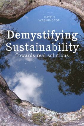 bokomslag Demystifying Sustainability