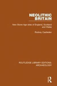 bokomslag Neolithic Britain