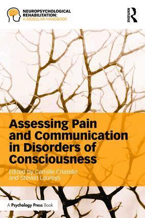Camille Chatelle, Steven Laureys - Assessing Pain and Communication in Disorders of Consciousness, Häftad