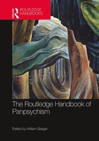 bokomslag The Routledge Handbook of Panpsychism