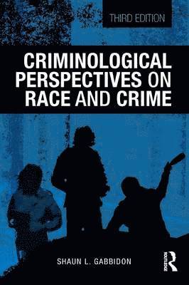 bokomslag Criminological Perspectives on Race and Crime