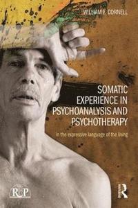 bokomslag Somatic Experience in Psychoanalysis and Psychotherapy