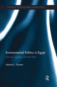 bokomslag Environmental Politics in Egypt