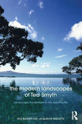 bokomslag Modern Landscapes of Ted Smyth