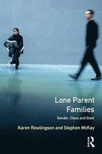 bokomslag Lone Parent Families