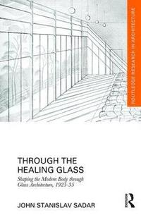 bokomslag Through the Healing Glass