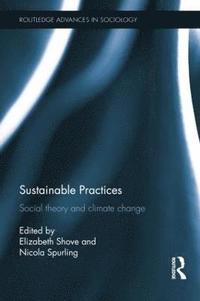 bokomslag Sustainable Practices