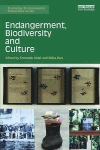 bokomslag Endangerment, Biodiversity and Culture