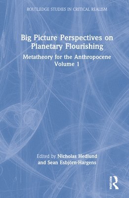 bokomslag Big Picture Perspectives on Planetary Flourishing