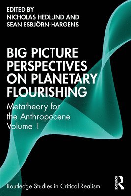 Big Picture Perspectives on Planetary Flourishing 1