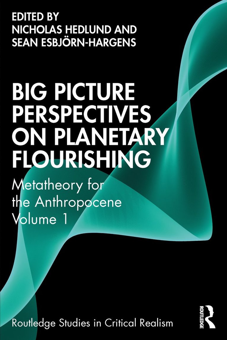 Big Picture Perspectives on Planetary Flourishing 1