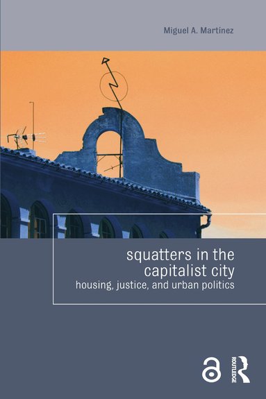 bokomslag Squatters in the Capitalist City