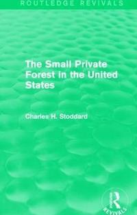 bokomslag The Small Private Forest in the United States (Routledge Revivals)