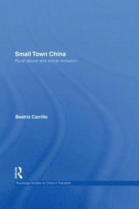 bokomslag Small Town China