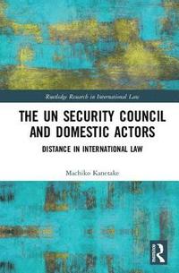 bokomslag The UN Security Council and Domestic Actors