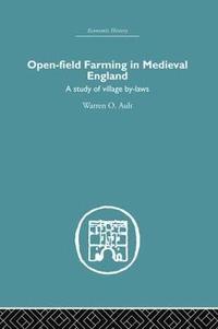 bokomslag Open-Field Farming in Medieval Europe