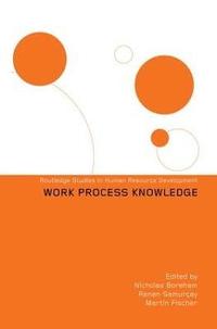 bokomslag Work Process Knowledge