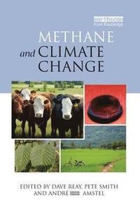 bokomslag Methane and Climate Change