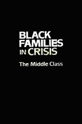 bokomslag Black Families In Crisis