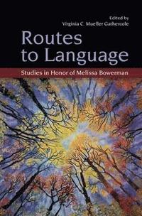 bokomslag Routes to Language