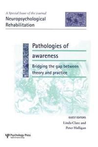bokomslag Pathologies of Awareness: Bridging the Gap between Theory and Practice