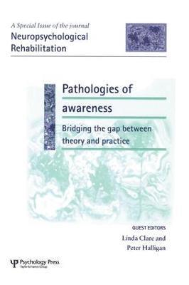 Pathologies of Awareness: Bridging the Gap between Theory and Practice 1