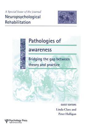 Pathologies of Awareness: Bridging the Gap between Theory and Practice 1