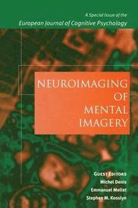 bokomslag Neuroimaging of Mental Imagery