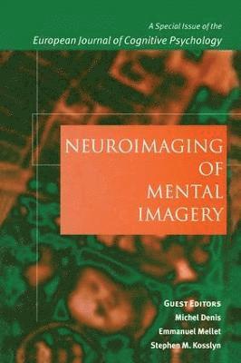 Neuroimaging of Mental Imagery 1