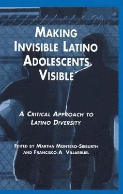 bokomslag Making Invisible Latino Adolescents Visible